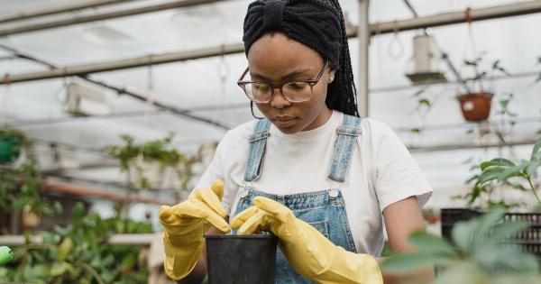 Understanding Pruning Techniques for Your Garden