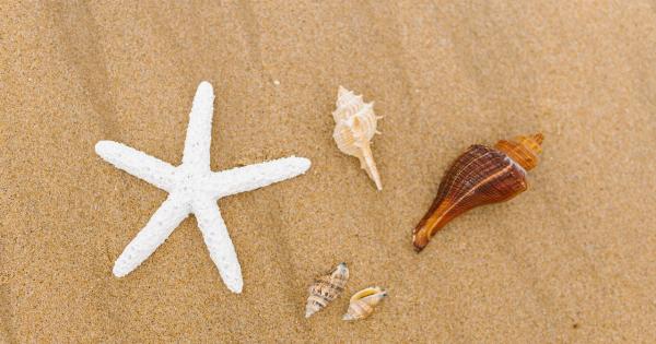 What are the top shellfish catches in England this year?