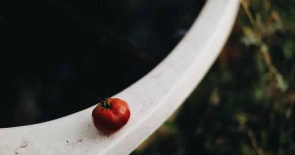 Simple Tomato Summer Scrub