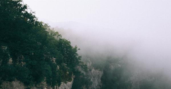 Exploring the link between colds and severe asthma