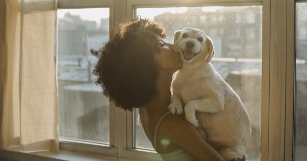 Why it may be better to avoid dog kisses