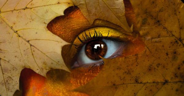 The Orange Goldmine: Boosting Your Vision and Immune System
