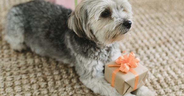 Keeping Your Dog Away from the Christmas Tree: Tips and Tricks