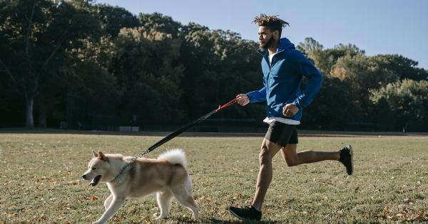 How your actions can hurt your loyal pet