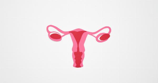 Bisphenol A negatively impacts ovarian health