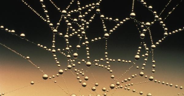 Striving for perfection: The ultimate trap