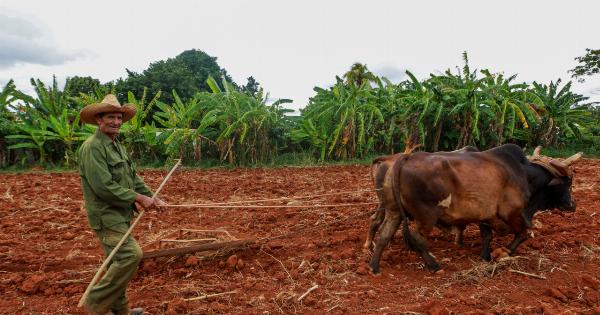 Defending Farmers’ Livestock and Crops