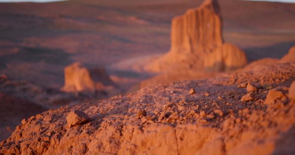 Seven Beauty Secrets from the Desert!