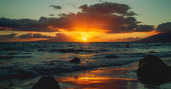 The Sea – Dissident Tides that Guard Memories and Soothe Inflammation