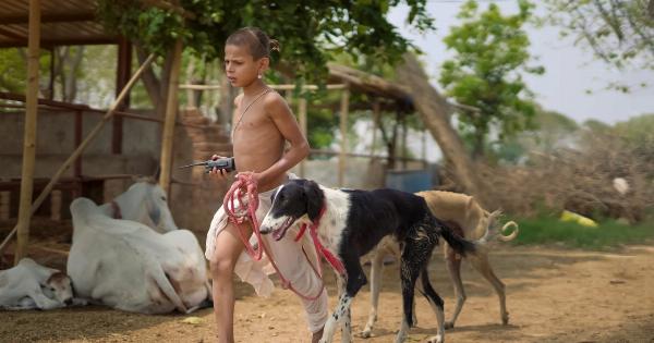 Trusty Dog: Defender, Buddy, and Kid-Safe