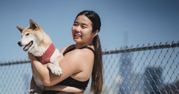 Training your puppy to conquer its fear of the vacuum