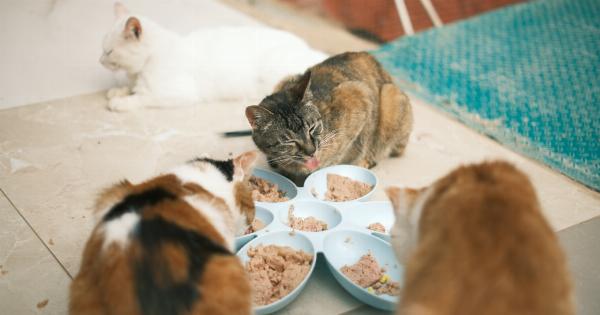 Understanding the risk of urolithiasis in cats