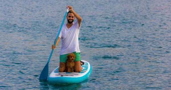 Dog took his paddleboard and went for a paddle