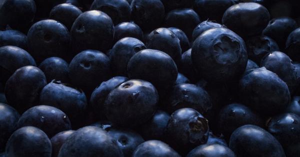 7 Benefits of Incorporating Bilberries into Your Diet