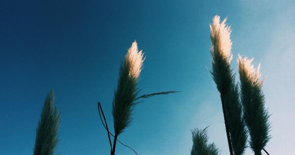 From Thin to Thick: Understanding the Buildup of Stress