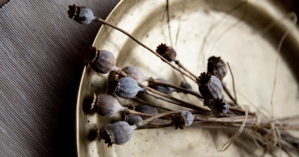 Herbal Medicines: A Novel Approach to Head and Cervical Cancer