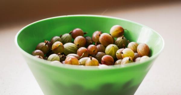 Seeds you should be eating daily for optimum health and wellness (includes photos)