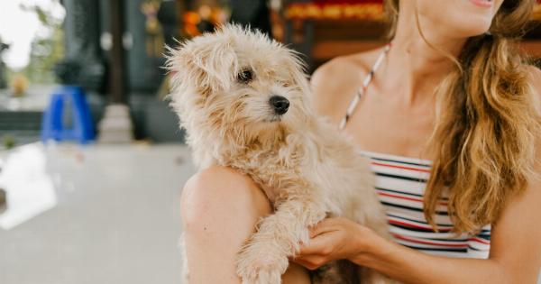DIY Doggie Toothpaste – Keeping Your Pup’s Smile Sparkling!