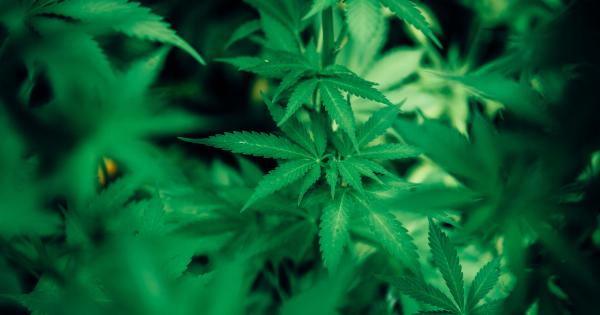 Breaking news: Drug stops Stomach Cancer growth