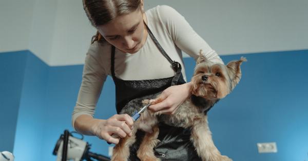 Dogs as Migraine Service Animals: What You Need to Know
