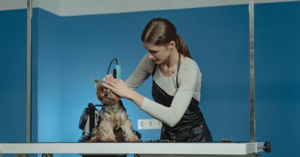 Is it really necessary to take my dog to a professional groomer?