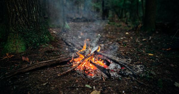 Rising from the Ashes: The Triumph of Fire Creatures