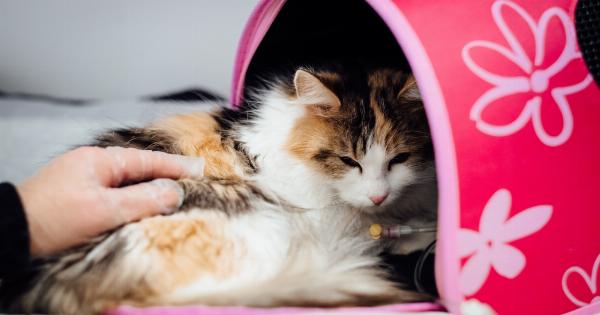 The dangers of relying on sleep medication