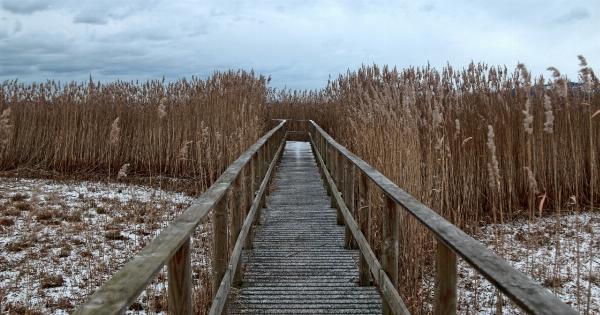 Why Your Mood Gets Affected in Winter and How to Fix It