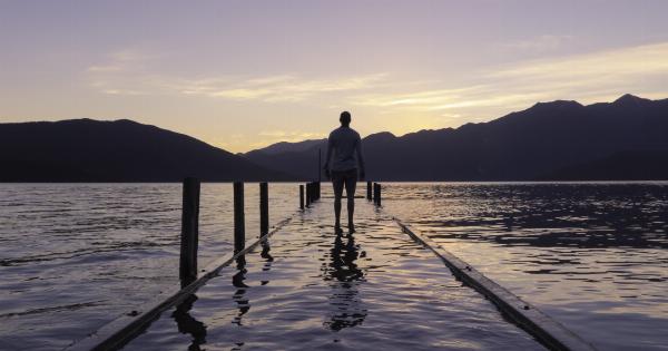 Experience the Wonder with Nitrate-Free Water