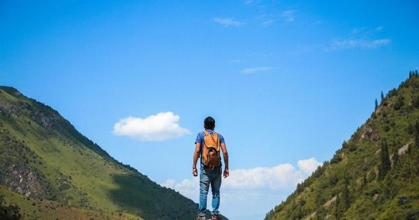 Exploring the Link between Environment, Weight, Stress, and Allergies