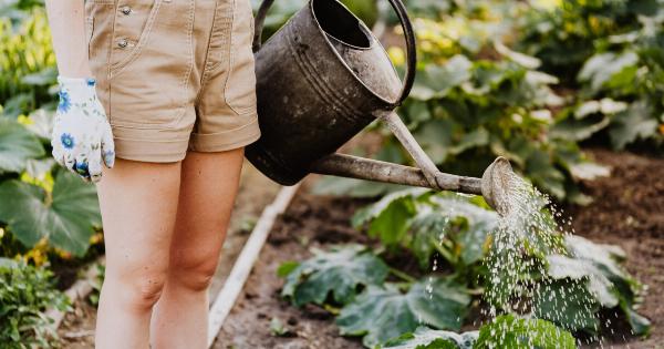 How green vegetables can protect your brain from dementia