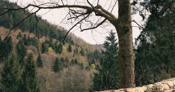 Hypertension and Periodontitis: A Growing Concern