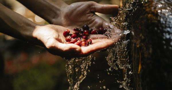 Why should you use cool water to wash your hands?