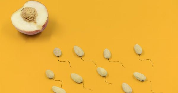 Sperm 101: The Basics