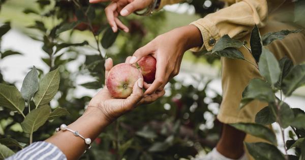 The top 9 summer foods to help you lose weight