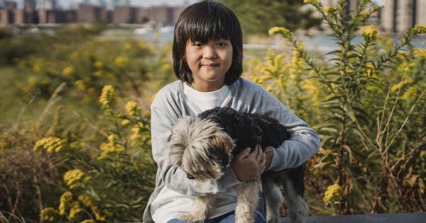 When to Avoid Giving Your Dog a Haircut