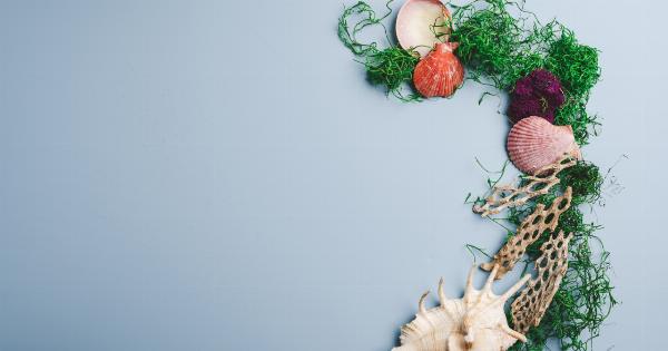 Effective flu-fighting herb