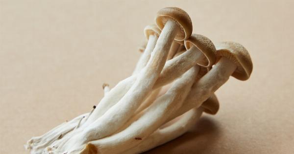 The recipe of the day: Portobello mushroom stuffed