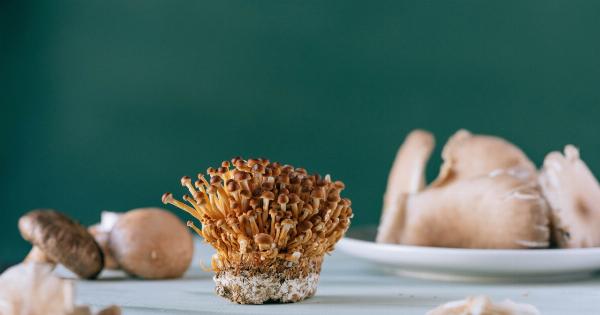 Simple Recipe for Natural Deodorant