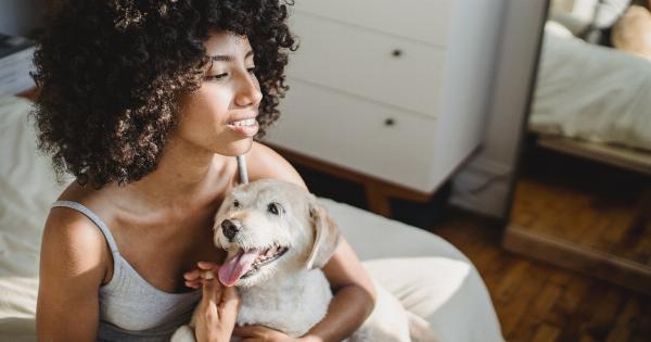 How to Keep Your Puppy from Wrecking Your House