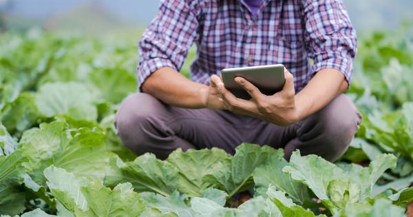 Control Prostate Hyperplasia with this Vegetable
