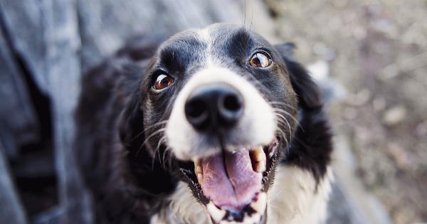 The importance of brushing your tongue