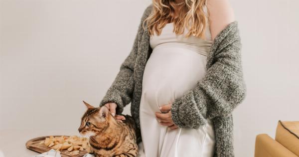 Pregnant women and cat ownership: What you need to know