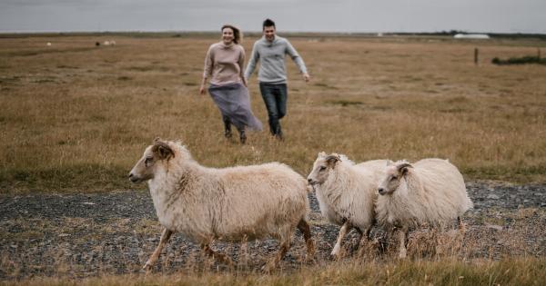 Celebrating and Reflecting on Our Relationship with Animals on this World Animal Day