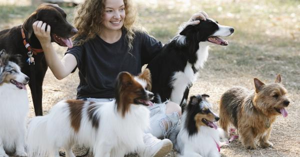 A deeper look into why dogs scratch the ground after peeing