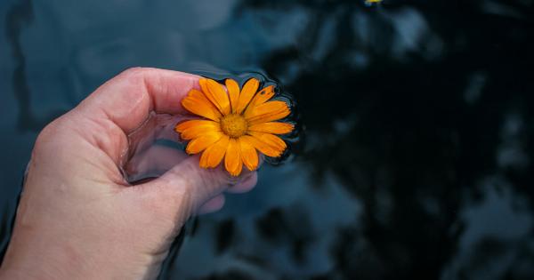 5 natural remedies to reduce liquid retention