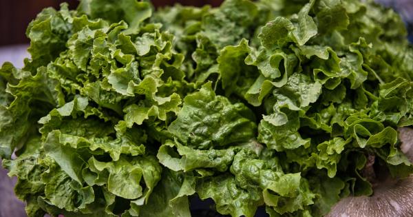 Exploring the connection between thyroid health and hair growth