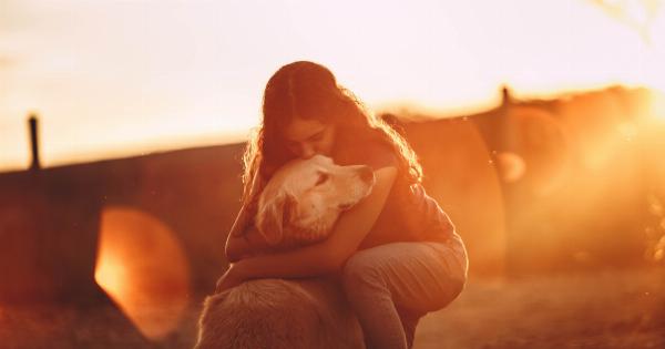 Dog Health and the Benefits of Sunlight
