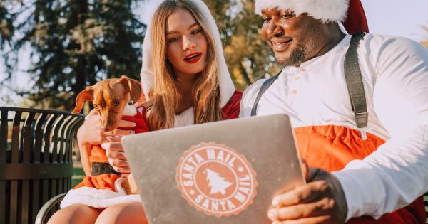 How to Get Your Dog Looking Great After the Holidays