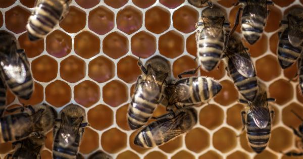 Understanding Modified Pollen in Honey